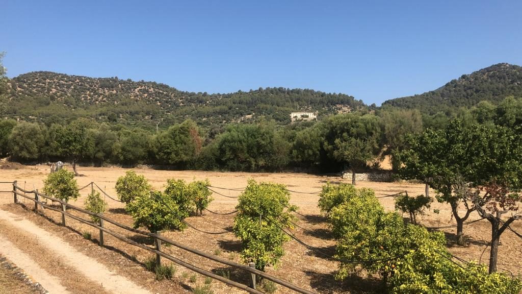 Binissalem Mallorca property on a big plot