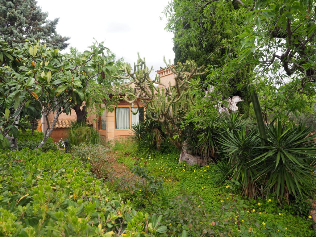Rustic house (finca) near the village – Bunyola area – Santa Maria del Cami Majorca with pool, garden, fruit trees