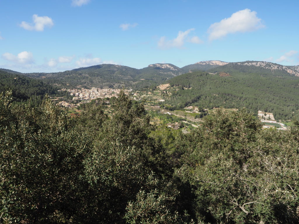 Esporles: beautiful property with holiday rental license and independent apartment