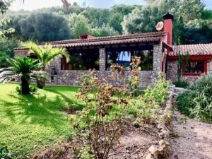 Puigpunyent - traditional stone finca with tropical gardens and fruit trees right in the village