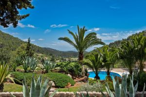 Finca - hotel - bed and breakfast for sale, possible agriturismo