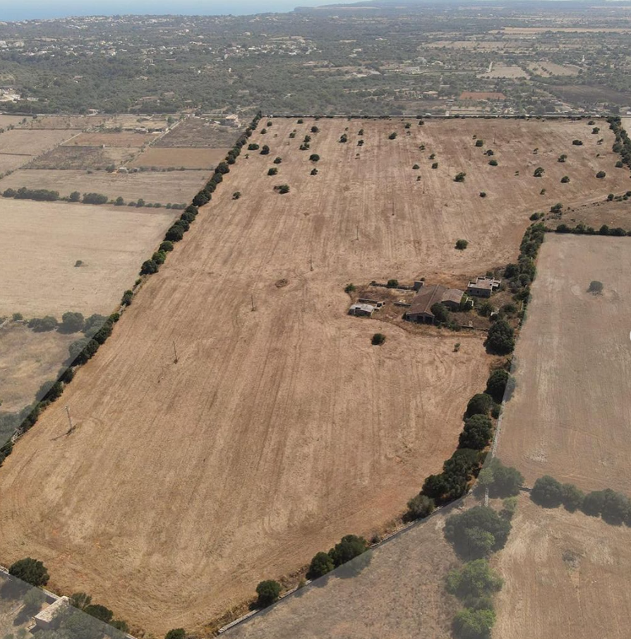 Large plot for sale Mallorca