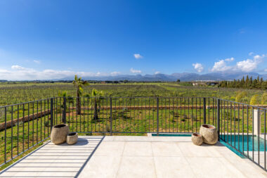 Newly built Finca in the vineyards